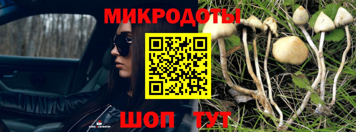 Галлюциногенные грибы мицелий  Вход с VPN  как найти   Карпинск  Псилоцибиновые грибы прущие грибы 